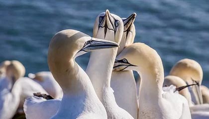 jiuyou网页登录-青年运动员成长环境持续优化，青年运动员成长环境持续优化措施