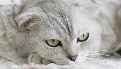 jiuyou网页登录-青年运动员成长环境持续优化，青年运动员成长环境持续优化措施