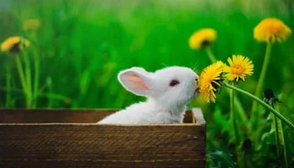 jiuyou网页登录-青年运动员成长环境持续优化，青年运动员成长环境持续优化措施