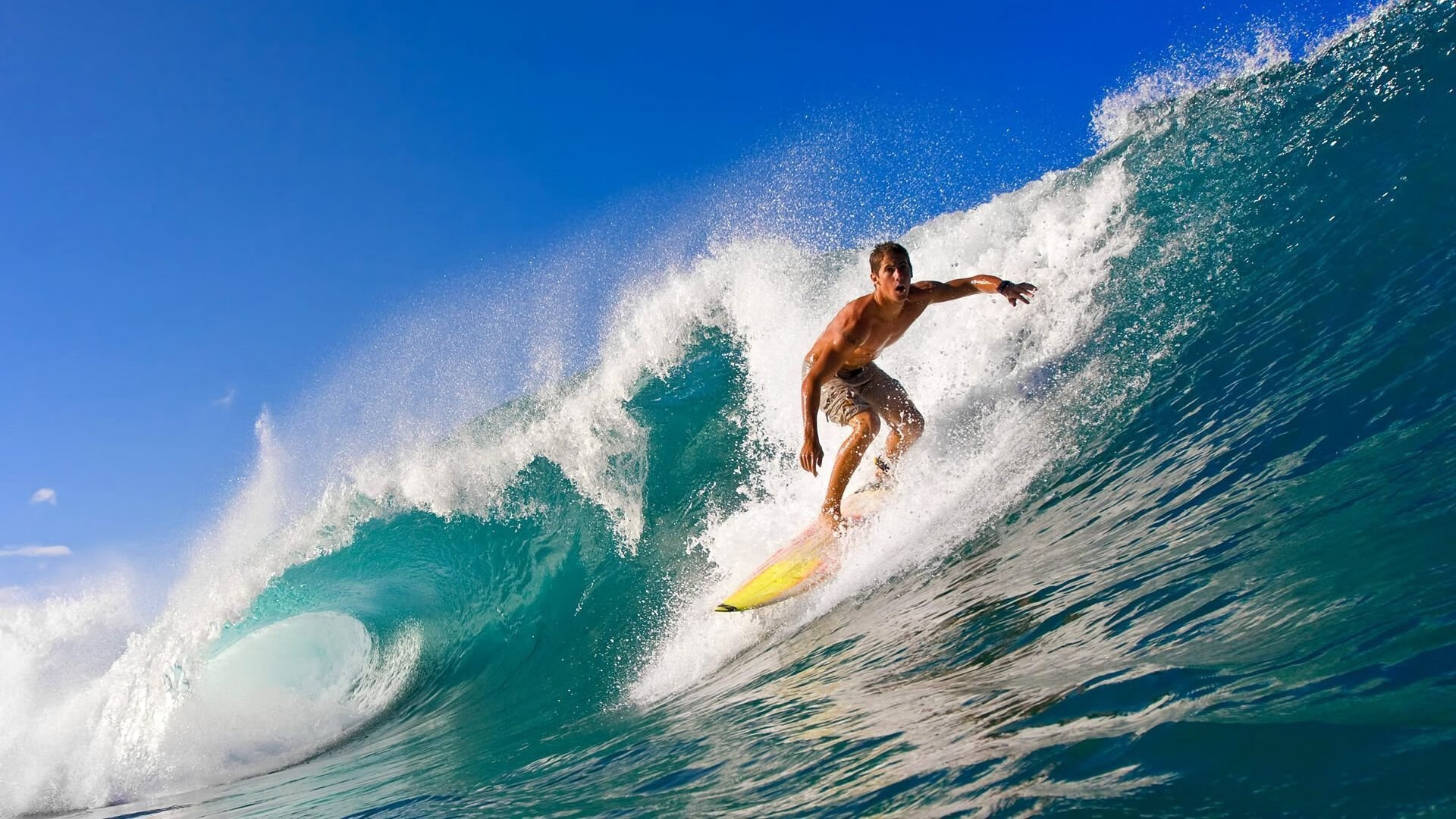 体育新闻中心联合媒体机构构建内容共创体系,体育媒体关系