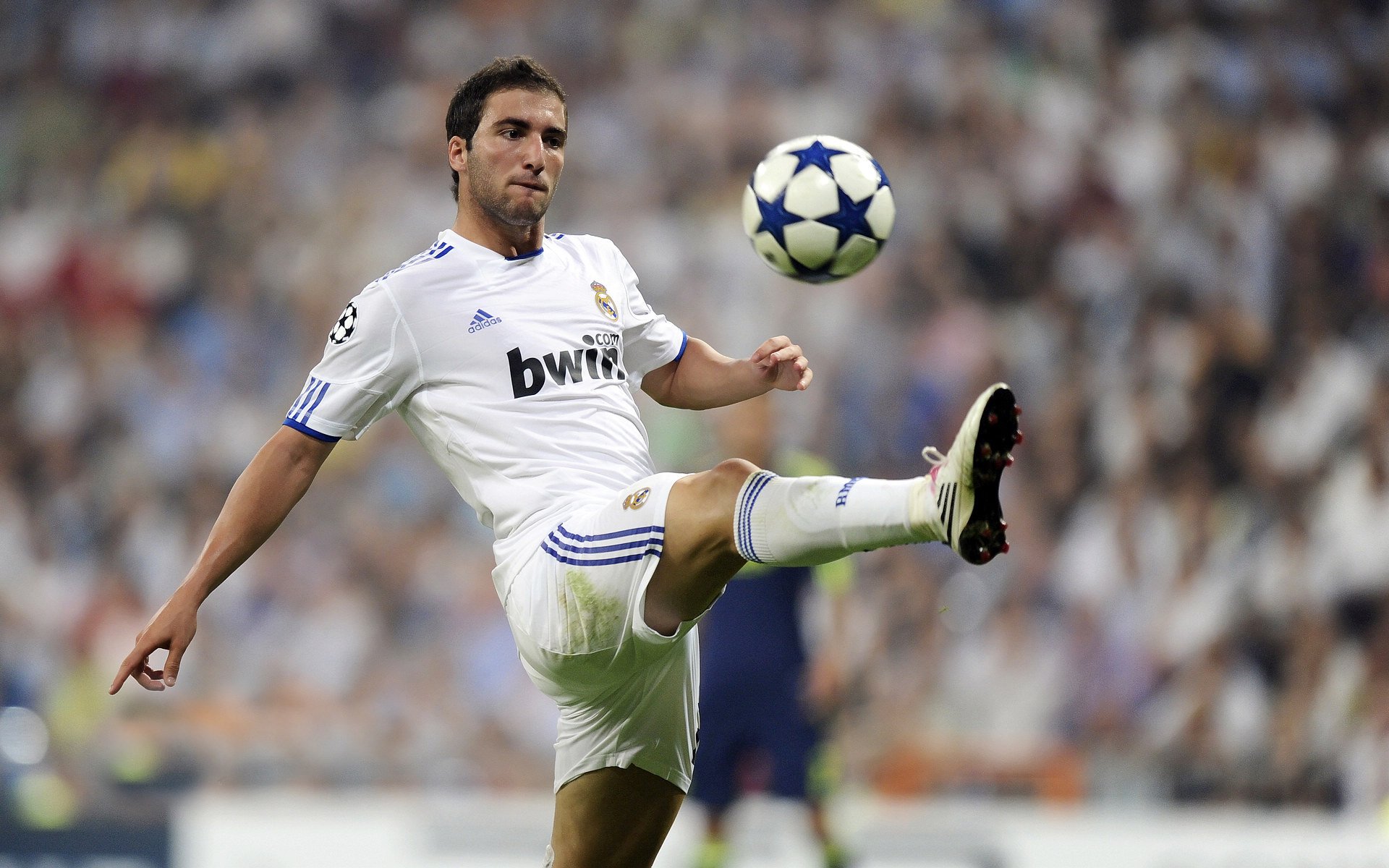 埃及赛制背后的力量：推动全员竞技水平的提升，埃及选手